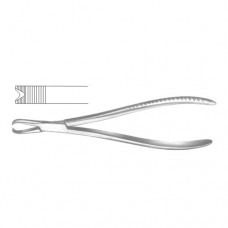 Bone Holding Forcep Stainless Steel, 20 cm - 8"